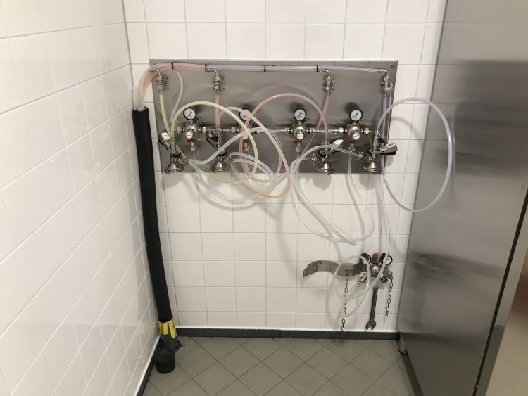 20190907_054418006_iOS