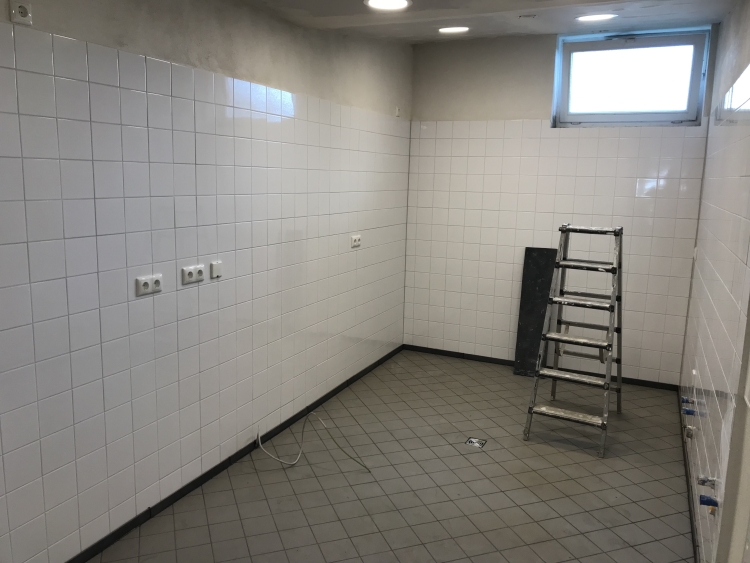 20190810_062110485_iOS