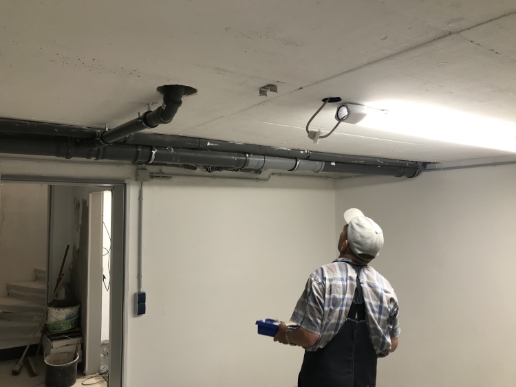 20190810_071728938_iOS