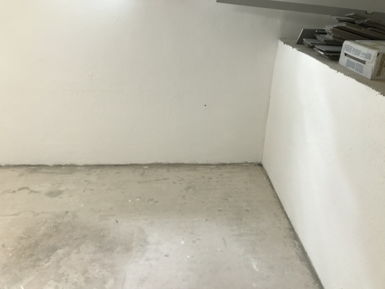 20190810_095345281_iOS