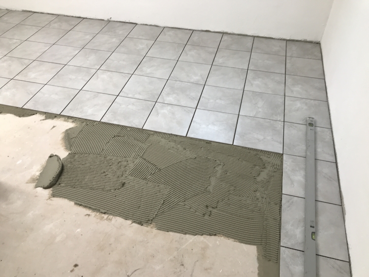 20190810_105447697_iOS