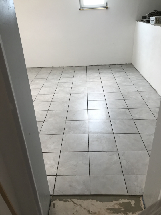 20190810_125022715_iOS