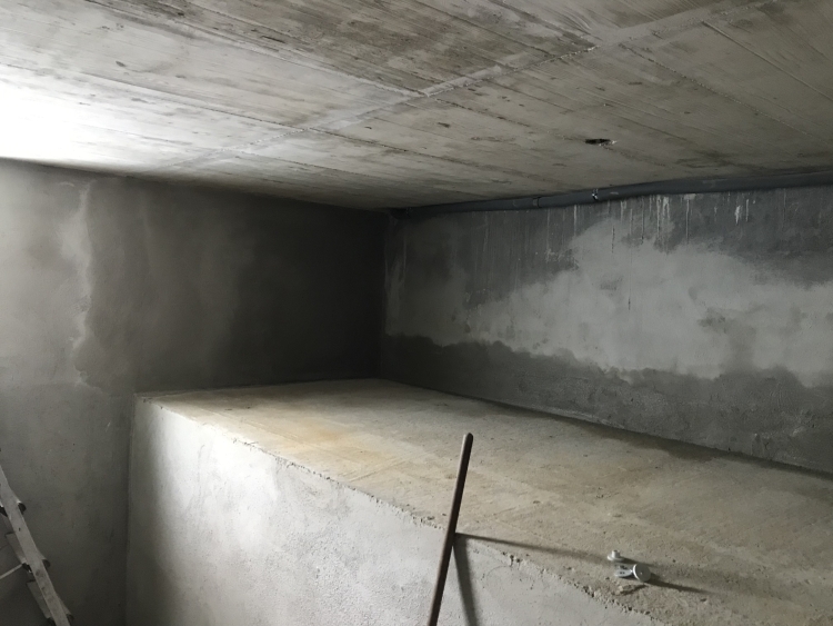 20190720_115855928_iOS 1