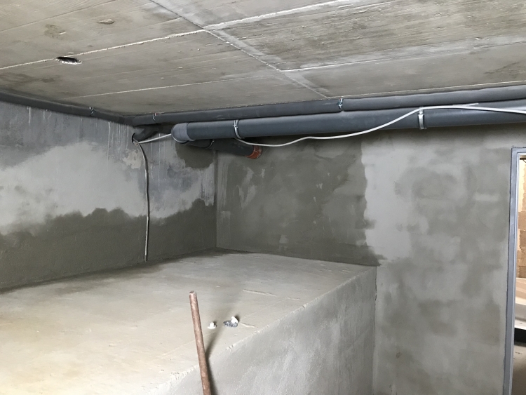 20190720_115901608_iOS 1