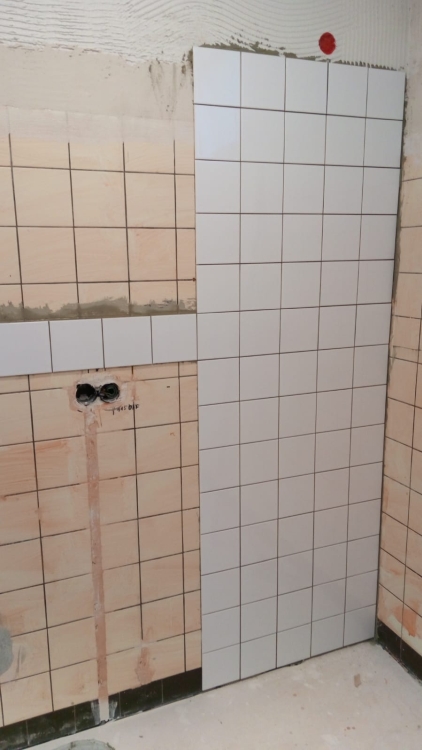 20190722_120442000_iOS 1