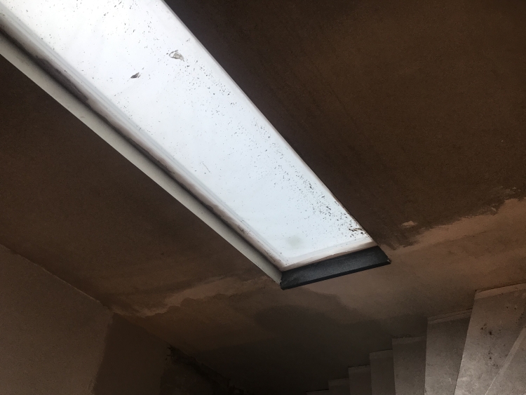 20190724_164037354_iOS