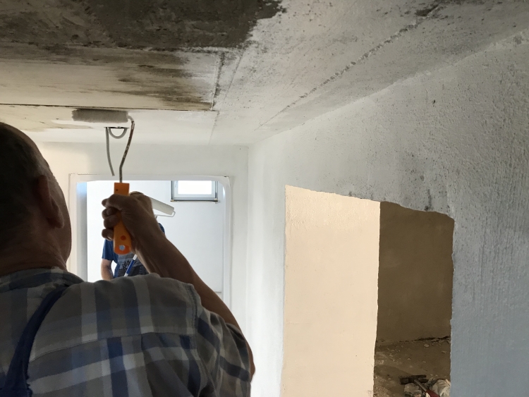 20190803_083904130_iOS