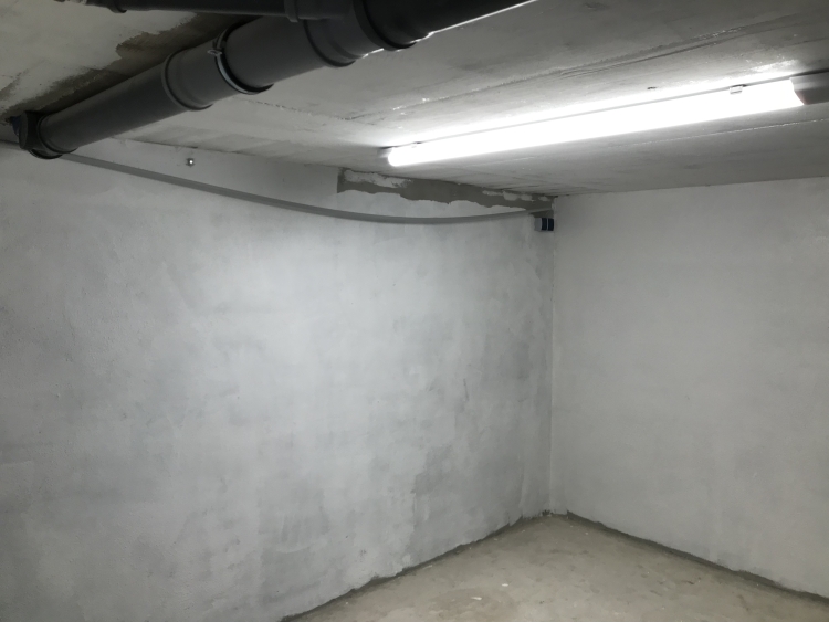 20190803_083912984_iOS