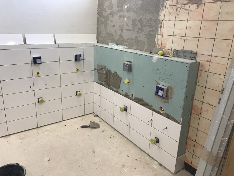 20190223_105419652_iOS