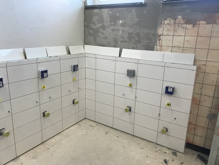 20190223_121240427_iOS