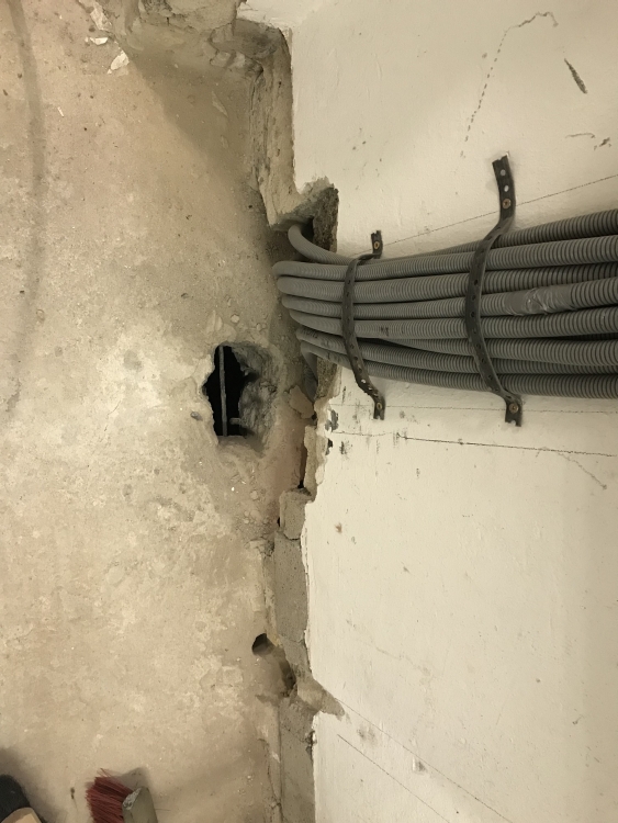 20181208_085042666_iOS