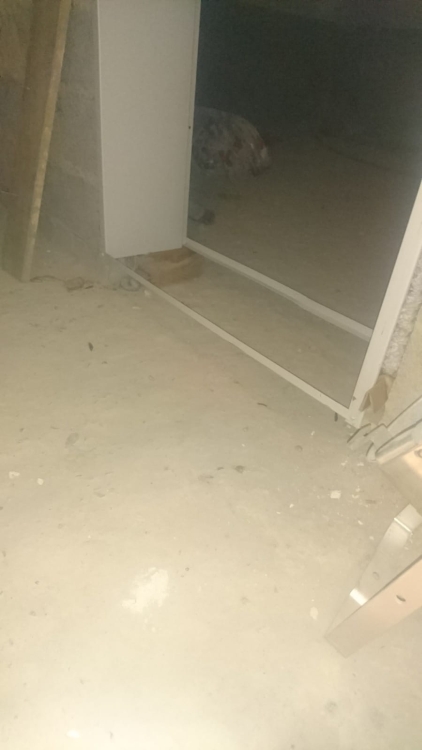 20181211_175930183_iOS