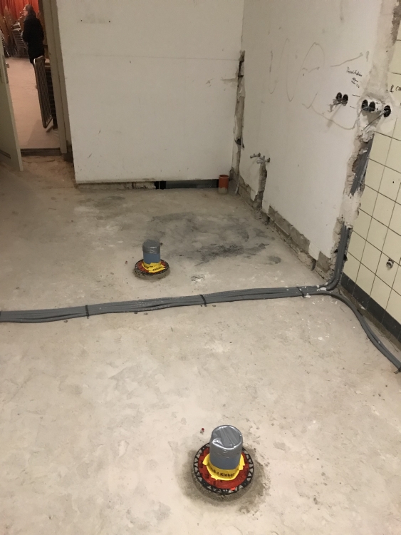 20181219_175934196_iOS