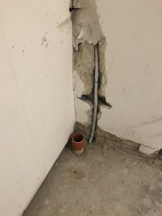 20181219_175944776_iOS