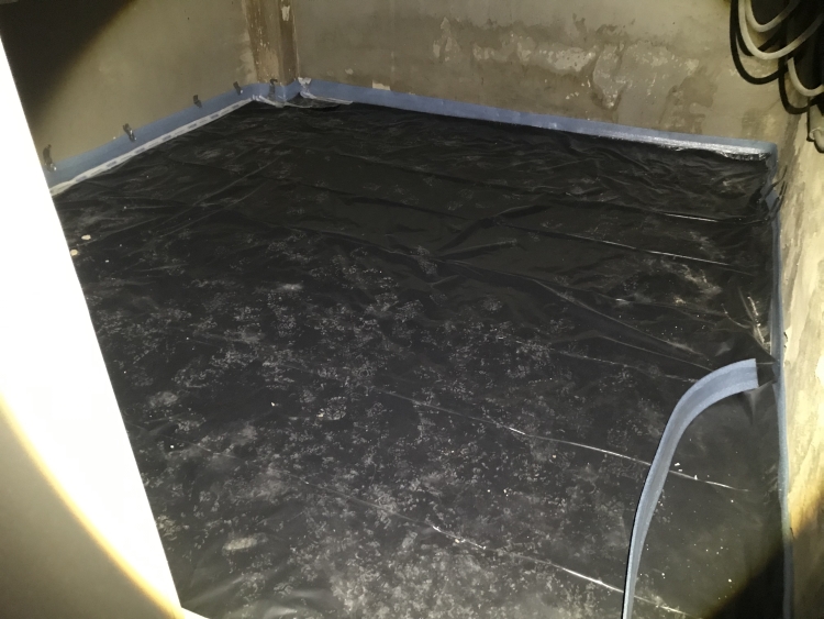 20181219_180155599_iOS