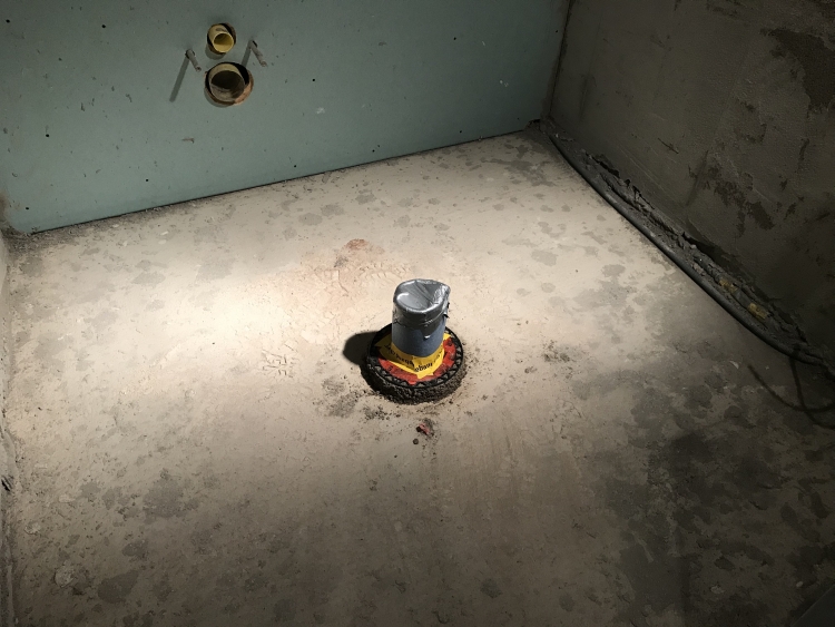 20181219_180237925_iOS