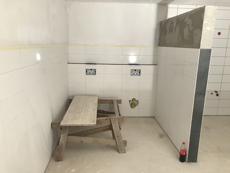 20190205_164737787_iOS