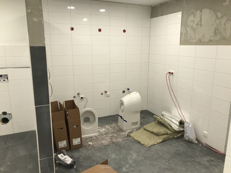 20190214_175755644_iOS