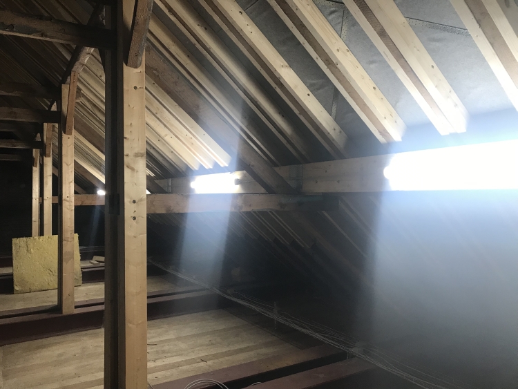 20190214_193034993_iOS