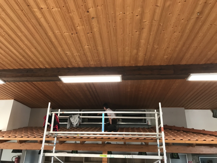 20190216_074711362_iOS