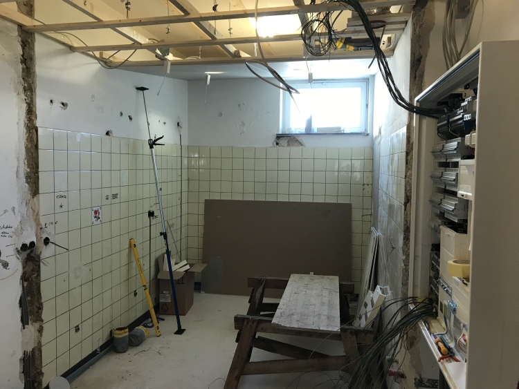 20190119_104441438_iOS