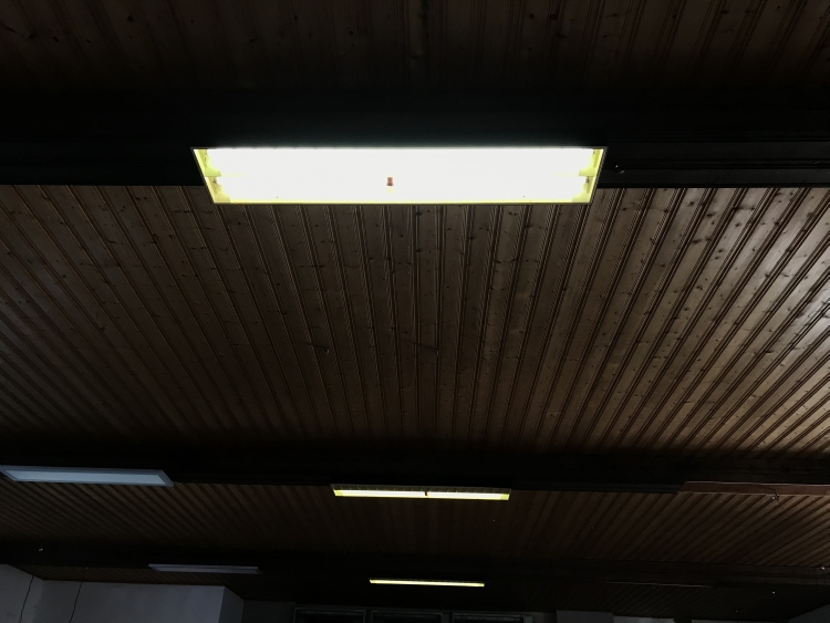 20190119_123758982_iOS