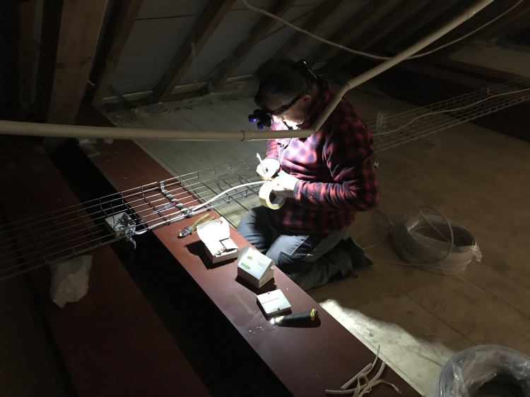 20190119_124327231_iOS