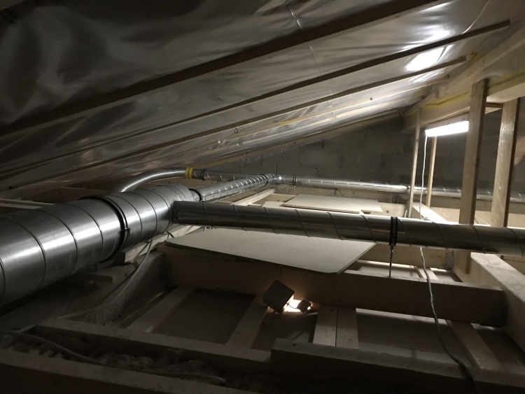 20190126_074156161_iOS