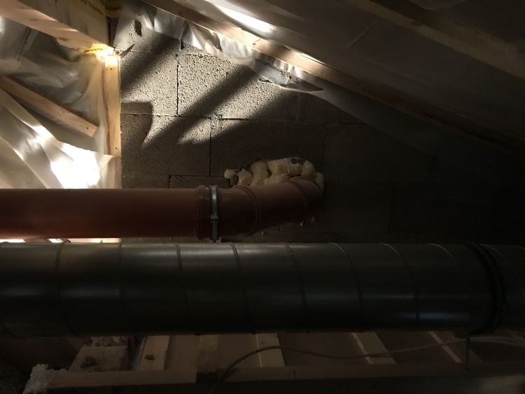 20190126_074159234_iOS