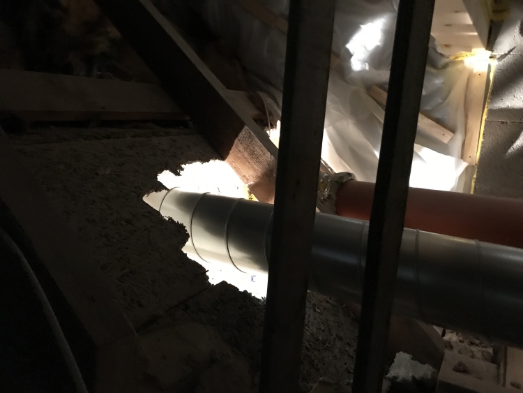 20190126_074201787_iOS