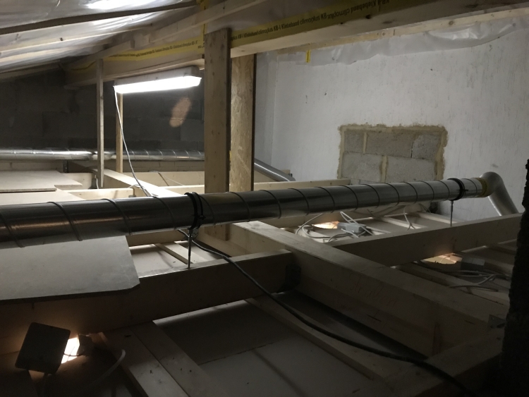 20190126_074205950_iOS