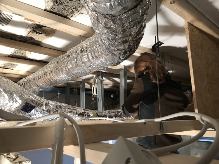 20190126_100318434_iOS