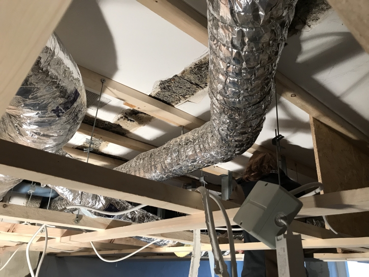 20190126_100322231_iOS