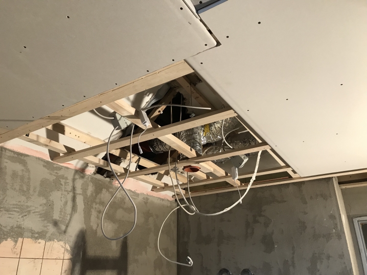 20190126_113854346_iOS