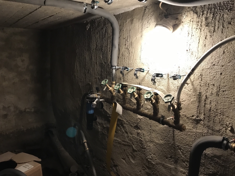 20190126_132930000_iOS