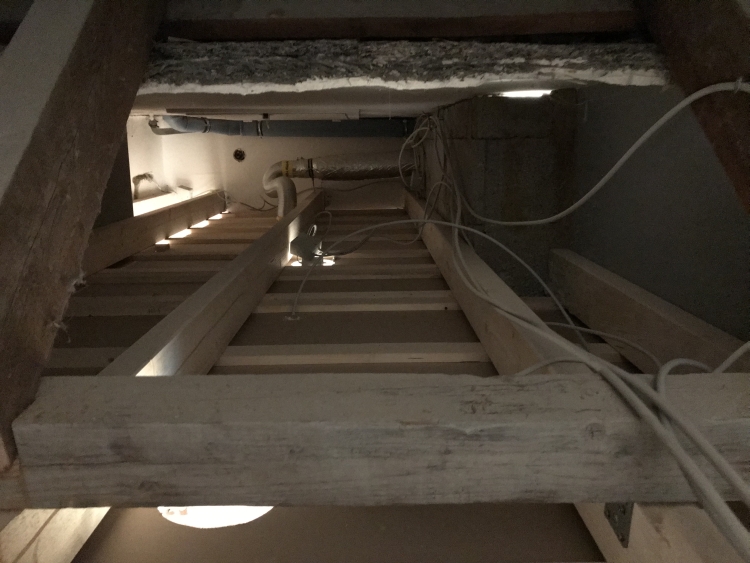 20190126_135521135_iOS