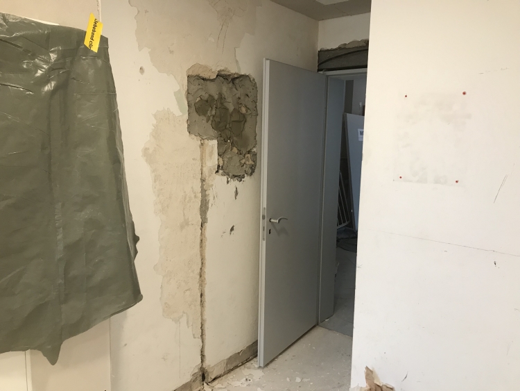 20190518_110557476_iOS