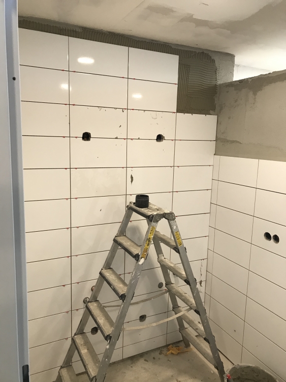 20190518_110611204_iOS