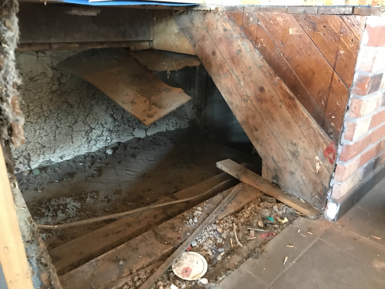 20190601_073231247_iOS