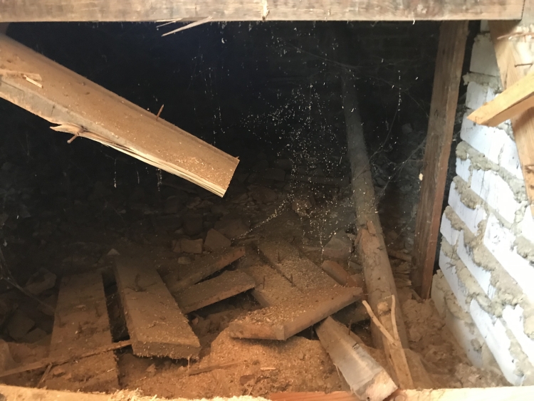 20190601_091746417_iOS