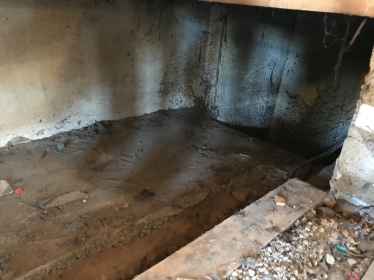 20190601_094843619_iOS