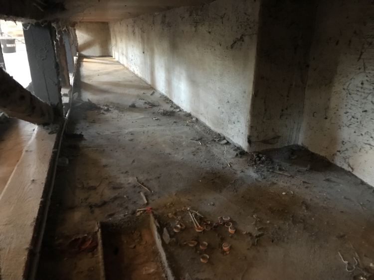 20190601_094848022_iOS