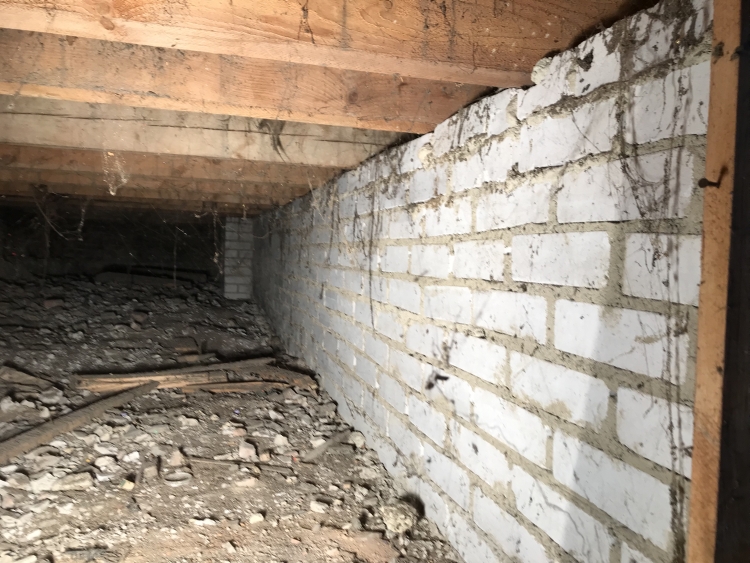 20190601_095342832_iOS