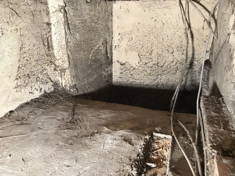 20190601_102144205_iOS