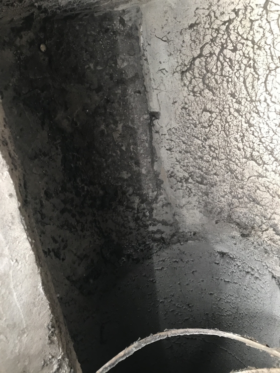 20190601_102155902_iOS