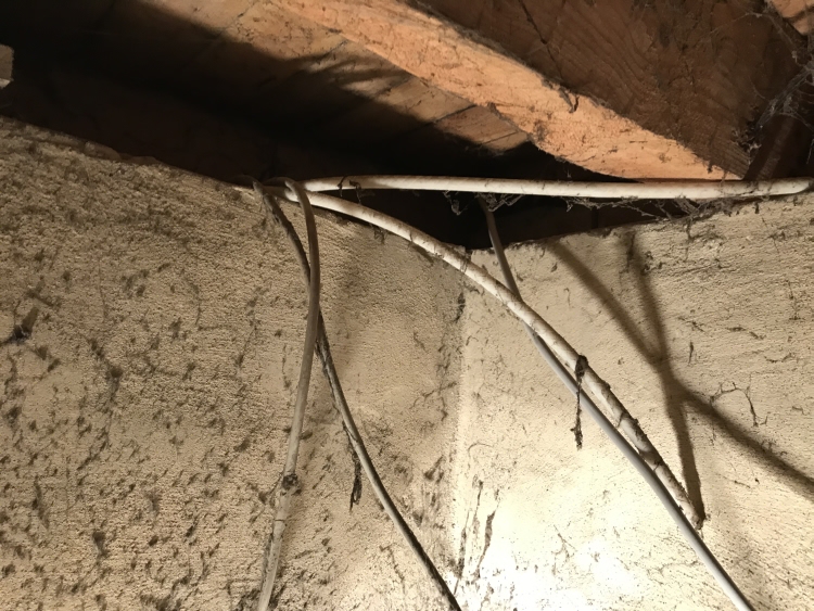 20190601_102233787_iOS