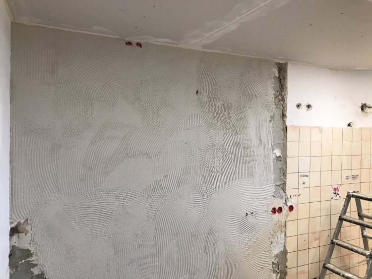 20190608_115554671_iOS