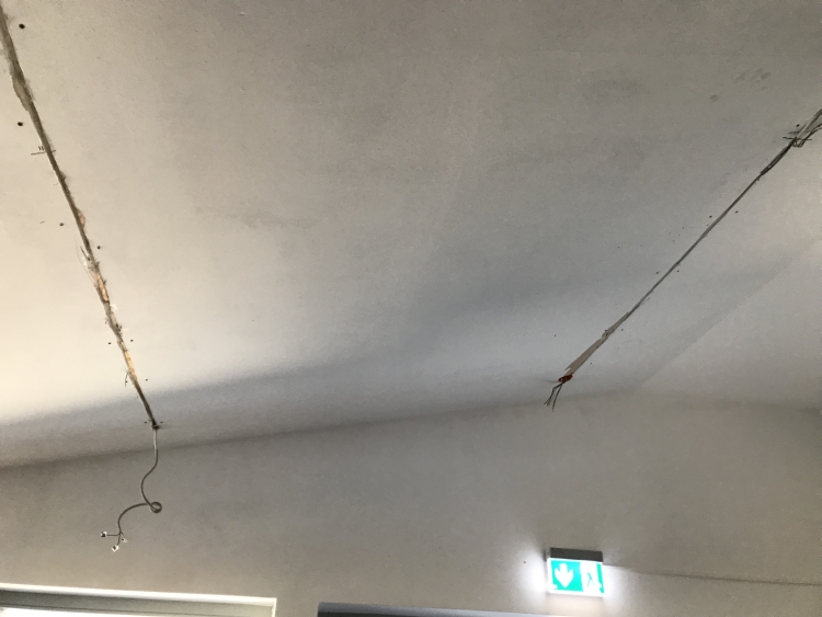 20190629_113408212_iOS