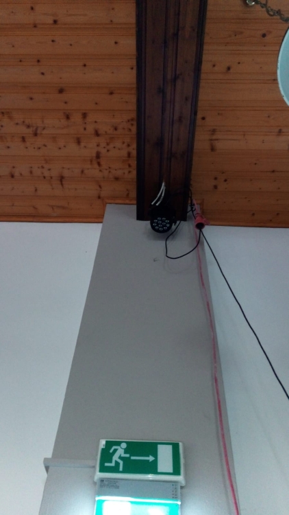 20190308_114805217_iOS