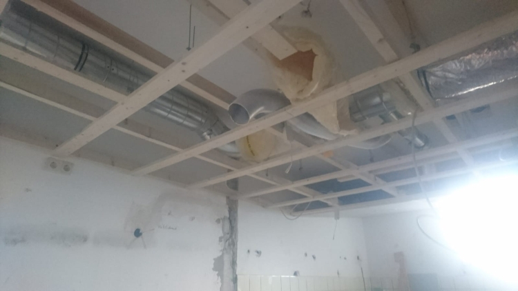 20190309_113915422_iOS 1